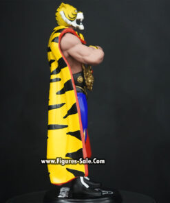 Alternative view of Tiger Mask V2